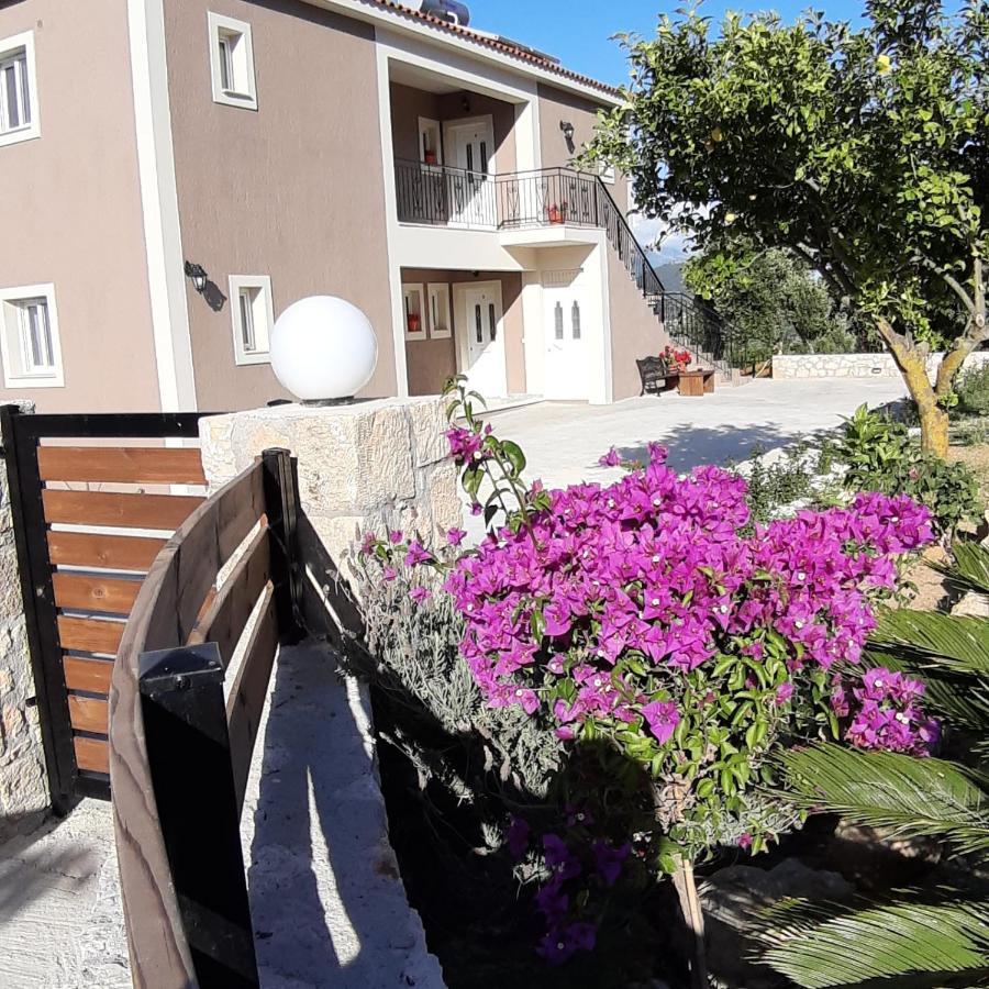 Nikoleta'S Studios Argostoli  Ngoại thất bức ảnh