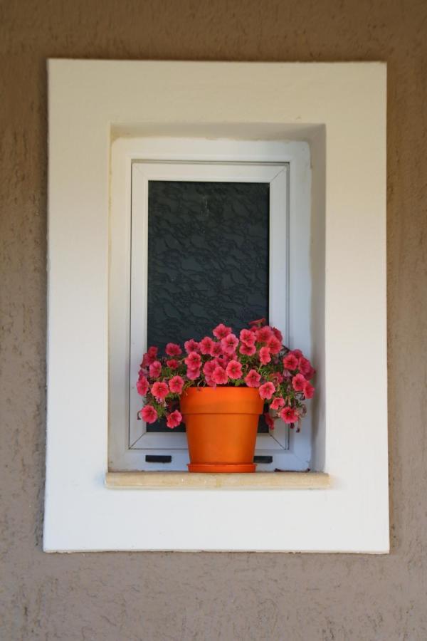 Nikoleta'S Studios Argostoli  Ngoại thất bức ảnh